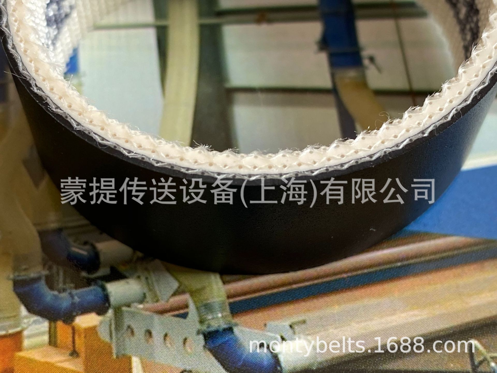 FORBO SIEGLING输送带和加工带 -人造板行业