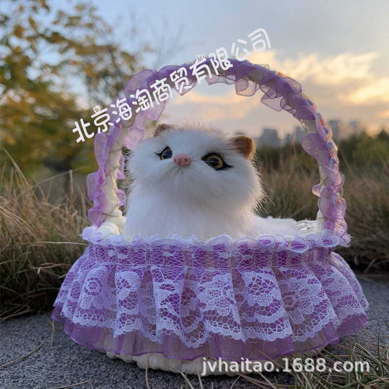 新款紫色花边蓝