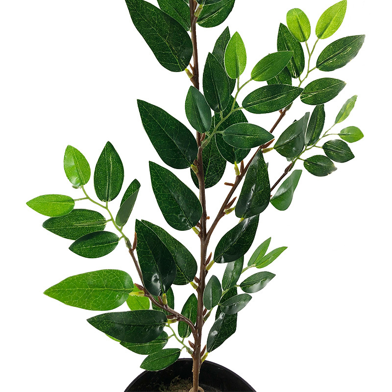 XRB-063 沉香四叉枝1