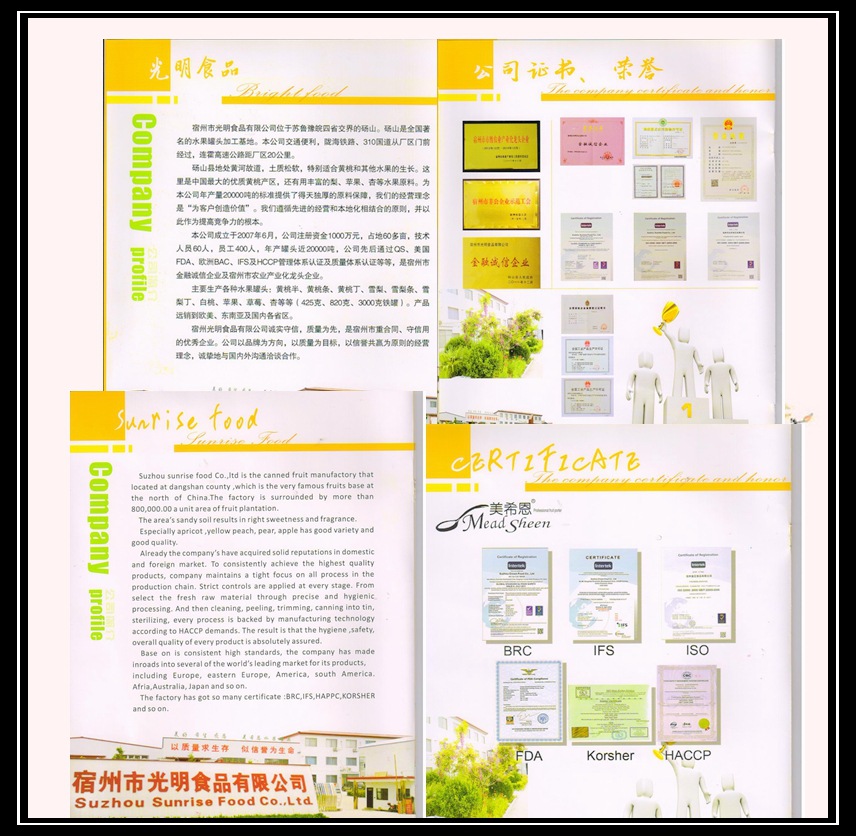 宣传册 001_副本