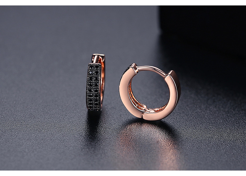 Fashion Simple And Small Double-row Copper Inlaid Zirconium Earrings Wholesale Nihaojewelry display picture 3