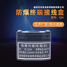 电热带终端接线盒 电伴热带防爆终端盒 伴热带末端接线盒