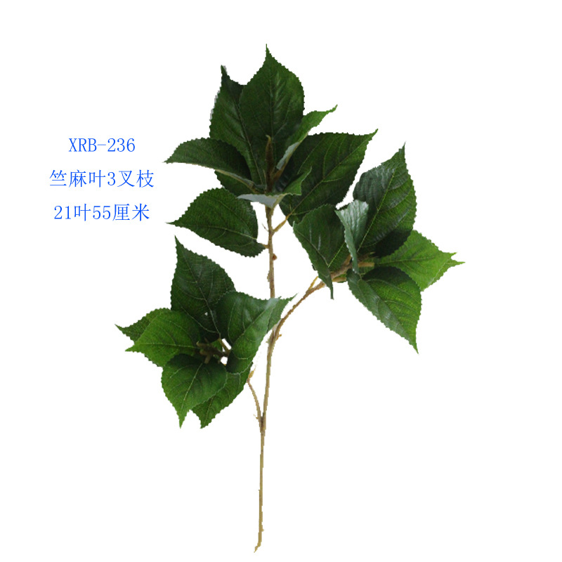 XRB-236 竺麻叶3叉枝0.55米21叶.jpg