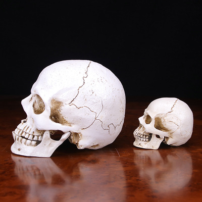 骷髅头万圣节仿真恐怖鬼头酒吧装饰摆件亚马逊热卖树脂小号骷髅头|ms