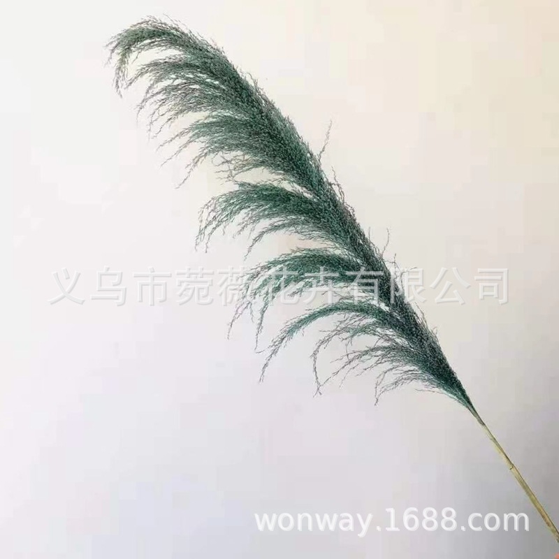 微信图片_20201122135420