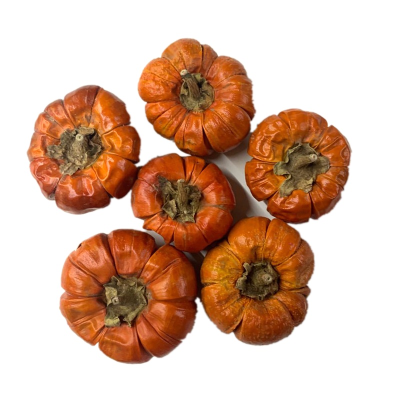 微信图片_20200425200931