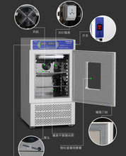 SPX-250SMJ霉菌培养箱不带湿度智能微电脑不锈钢内胆带定时功能