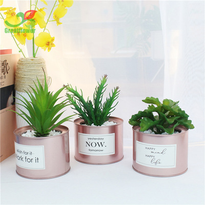 simulation Succulent bonsai Artificial Plants Potted plant simulation Succulent plants Artificial Flower originality Decoration Home Furnishing decorate