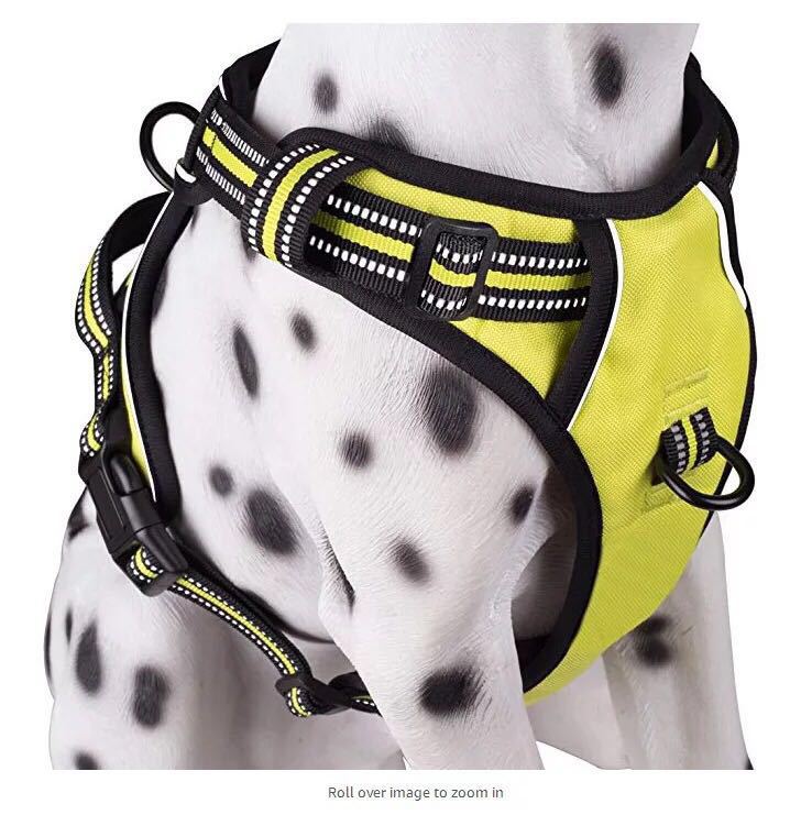 LED Dog Harness - Image 3