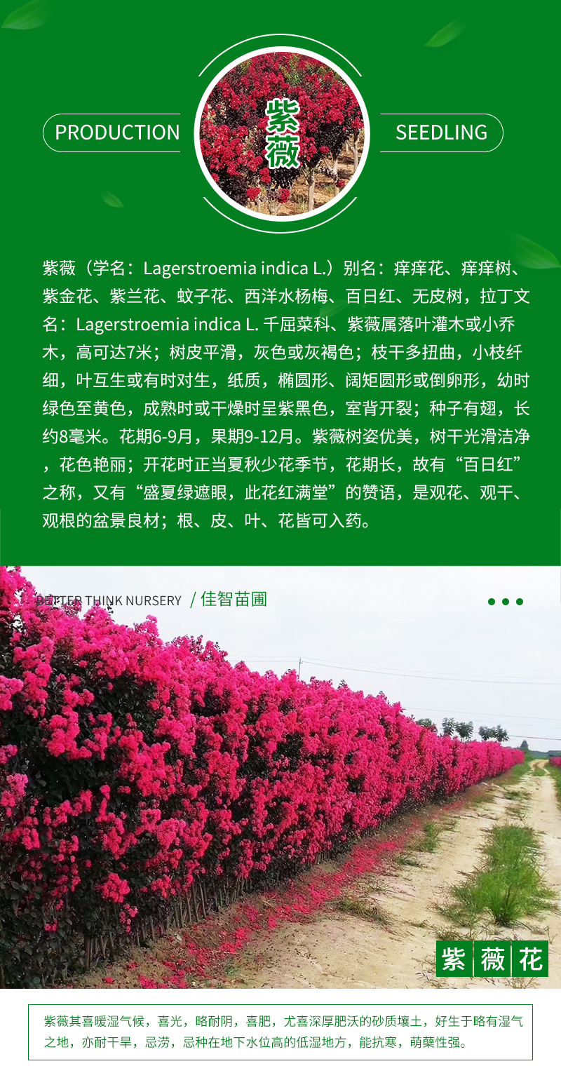 �ۻ��ҹ�-����_04