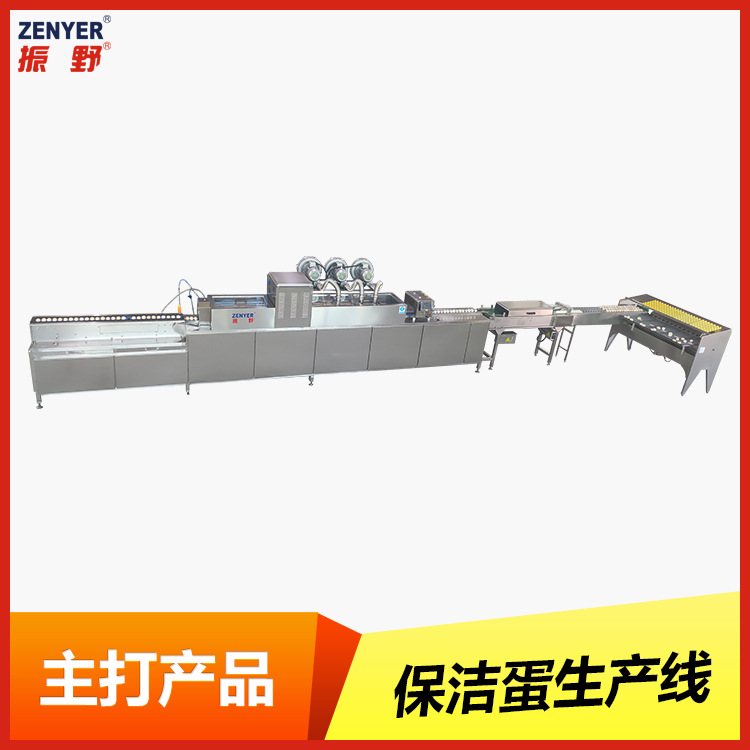 深圳振野5000枚小型304不锈钢鸡蛋鸭蛋毛刷清洗机械自动洗蛋机