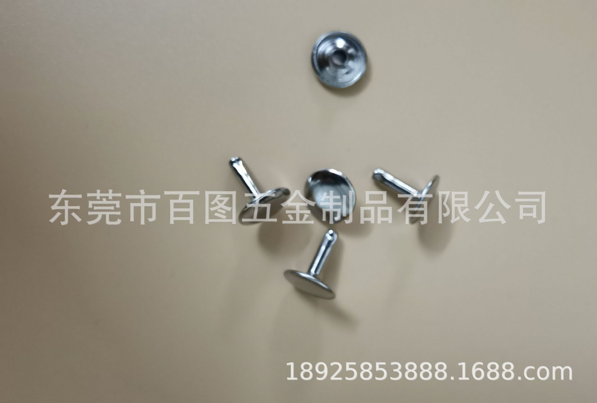 家具铆钉不锈钢304铆钉 大铆钉铝铆钉 五金半空心铆钉家