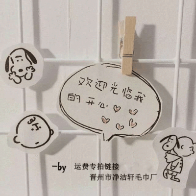 净洁轩毛巾 运费 拿样 万能拍专用链接   欢迎您的光临