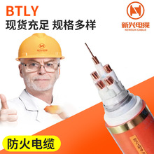 新兴BTLY铜芯隔离性柔性矿物绝缘电缆 国标铝护套防火电缆批发