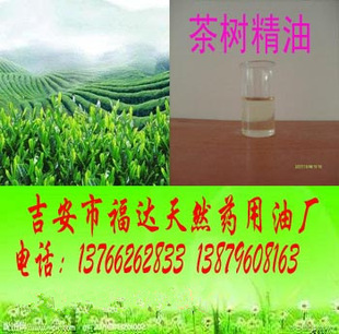 ����  ��侫��   ����͏S��ֱ�N����ă�
