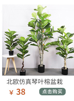 植物关联_021_09.jpg