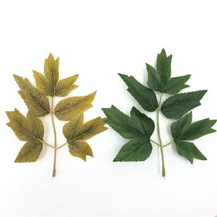 18*16CM����5Ƭĵ���~ �zӡ����~ ���滨�����z�������~�����