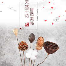 ���ﷲ��Ȼ�ɻ��Ҿ��b[���U��ɻ��滨С����diy�廨�ɘ�֦��