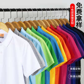 纯色短袖t恤翻领polo衫定 制刺绣 夏季工作企业团体活动服印logo