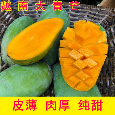越南大青芒果5斤9斤 大金煌芒青皮金煌芒果5斤水果一件代发