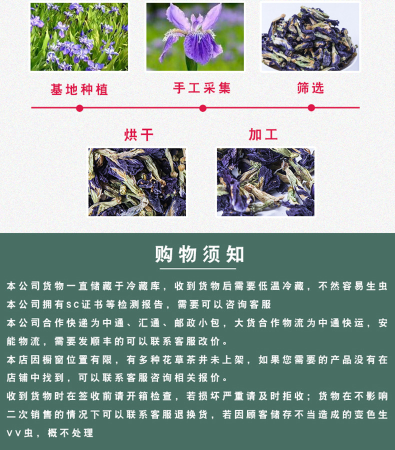 Butterfly Pea Flower Tea Dried Whole Blossoms Butterfly Pea Flower 500g Bulk Herbal Tea in use