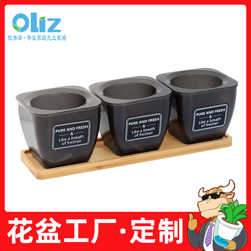 厂家批发亚马逊新款 独立包装T04花盆套装Watering flowerpot多肉|ms