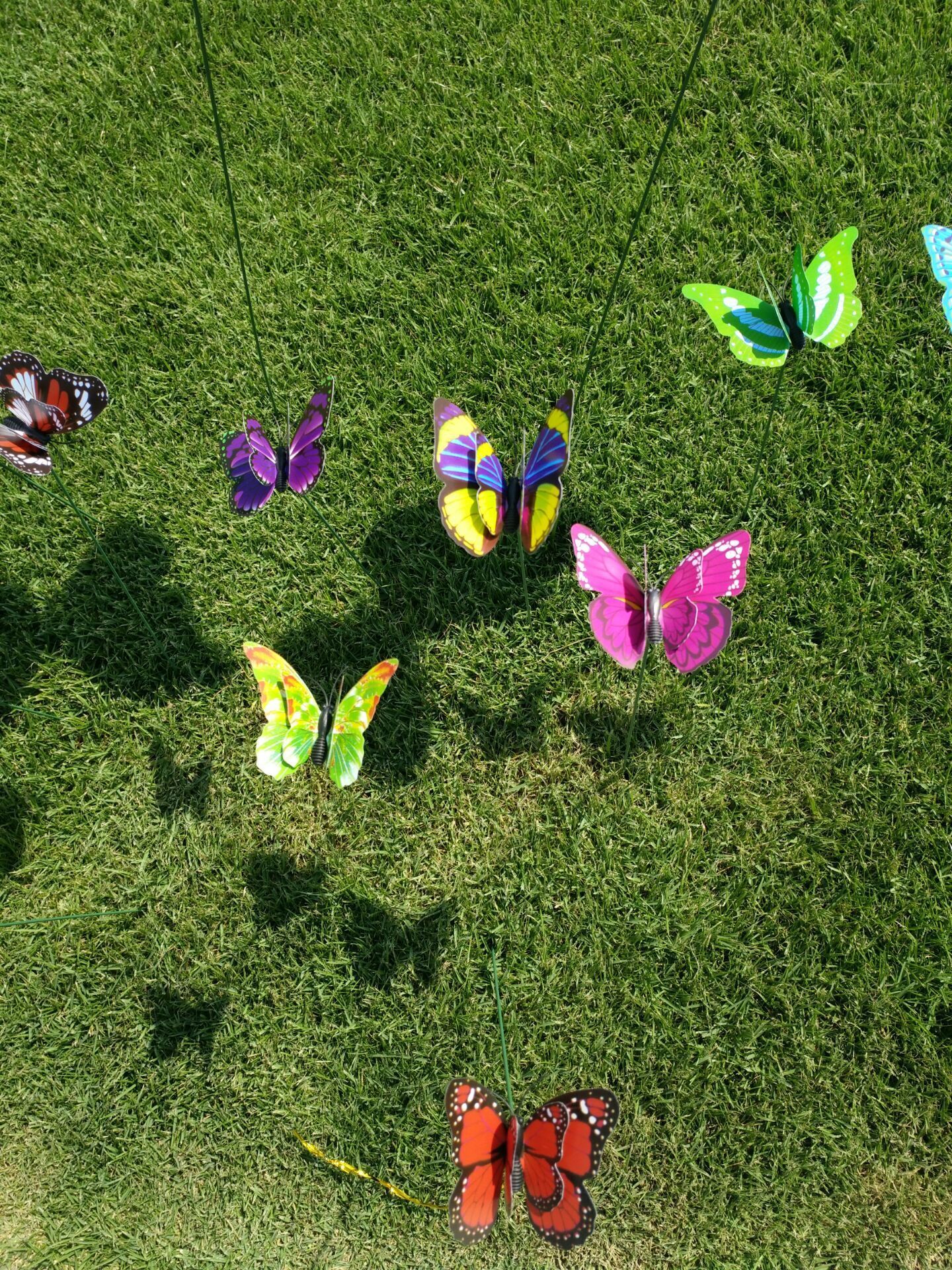 QQ图片20200506120336