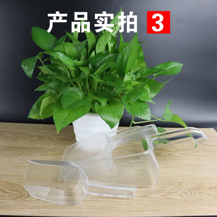 详情6