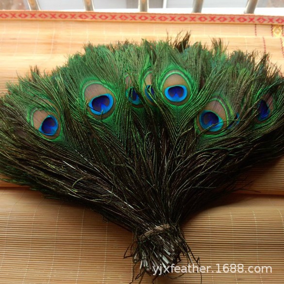 1343064454_1550210336