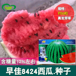 �Нh���84-24���ϷN�� �r��ˈ@�������챡Ƥ�tȿ�������ϷN��