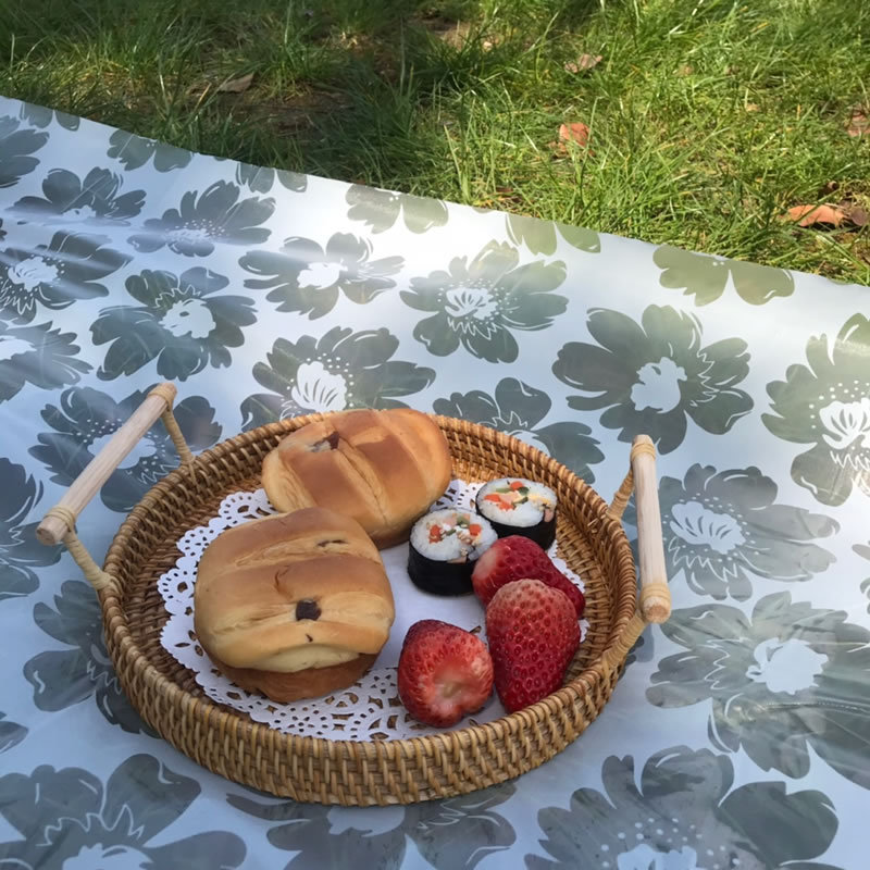 25-1白底透明花瓣