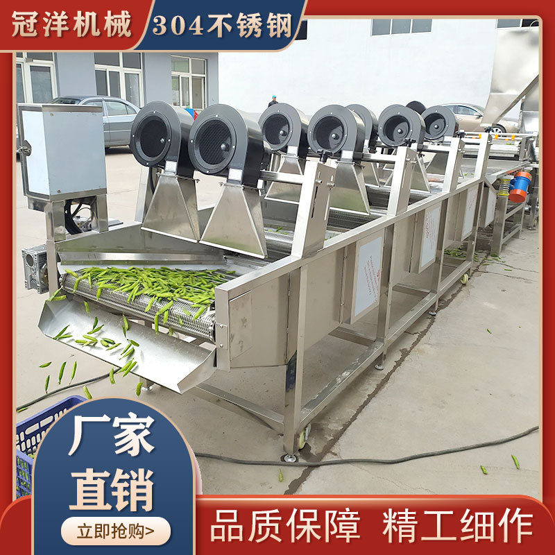 大型商用蔬菜气泡清洗机 毛豆风选清洗风干机器 食品辣椒筛选设备