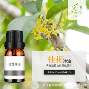 �𻨃���Osmanthus Absolute��ԭ��ֲ��η����ͷ����o�wԭ��