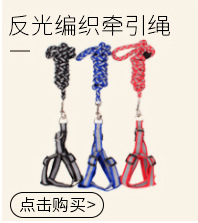 哈沃狗绳牵引绳