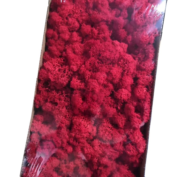 微信图片_20200321235441_副本