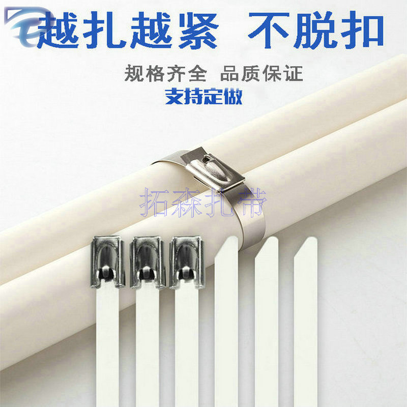 不锈钢材质 扎带金属钢珠自锁式 多种规格可选专拍CE ISO9001认证