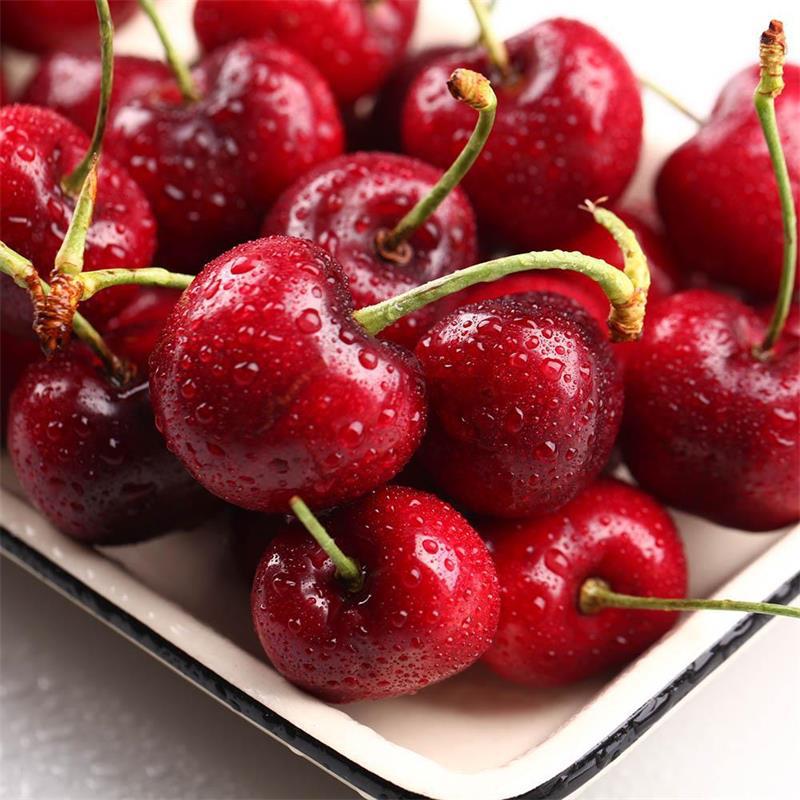 Shandong Yantai Meizao Cherry Cherry Boutique SF 3 fresh Season fruit