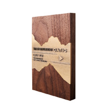 专业制作铜/铝制浮雕 纪念牌/酒店门牌等三维立体浮雕图