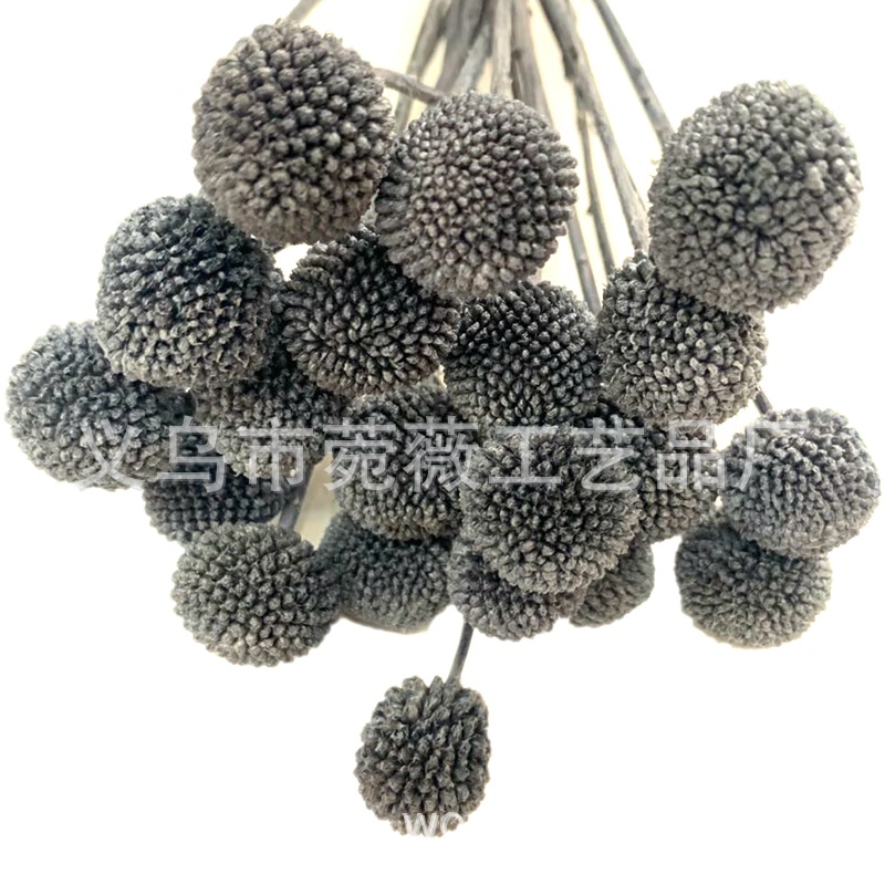 微信图片_20200420140349