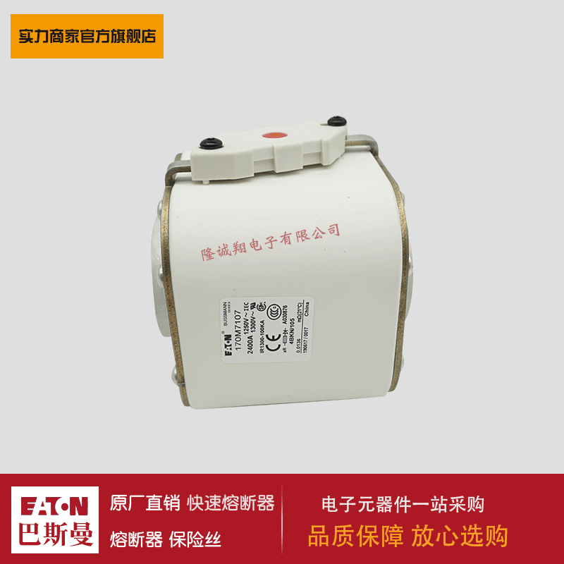 熔断器170M7143 170M7144 170M7145 170M7146 170M7147 170M7148