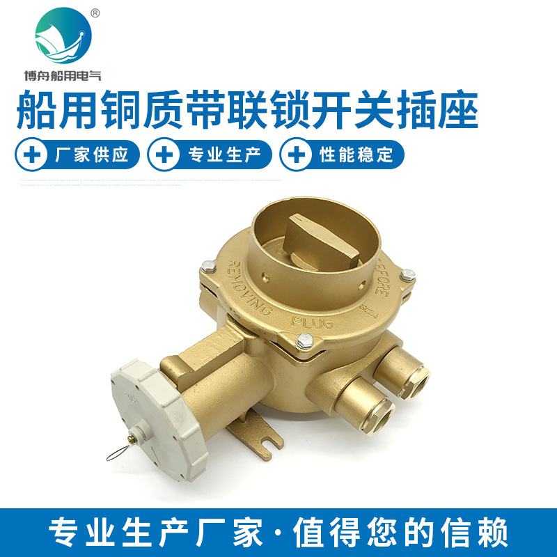 带锁开关插座 船用铜质带联锁开关插座CZKLS2-2 D2 现货