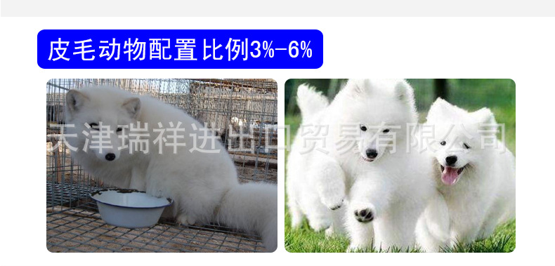 微信图片_20200602163633