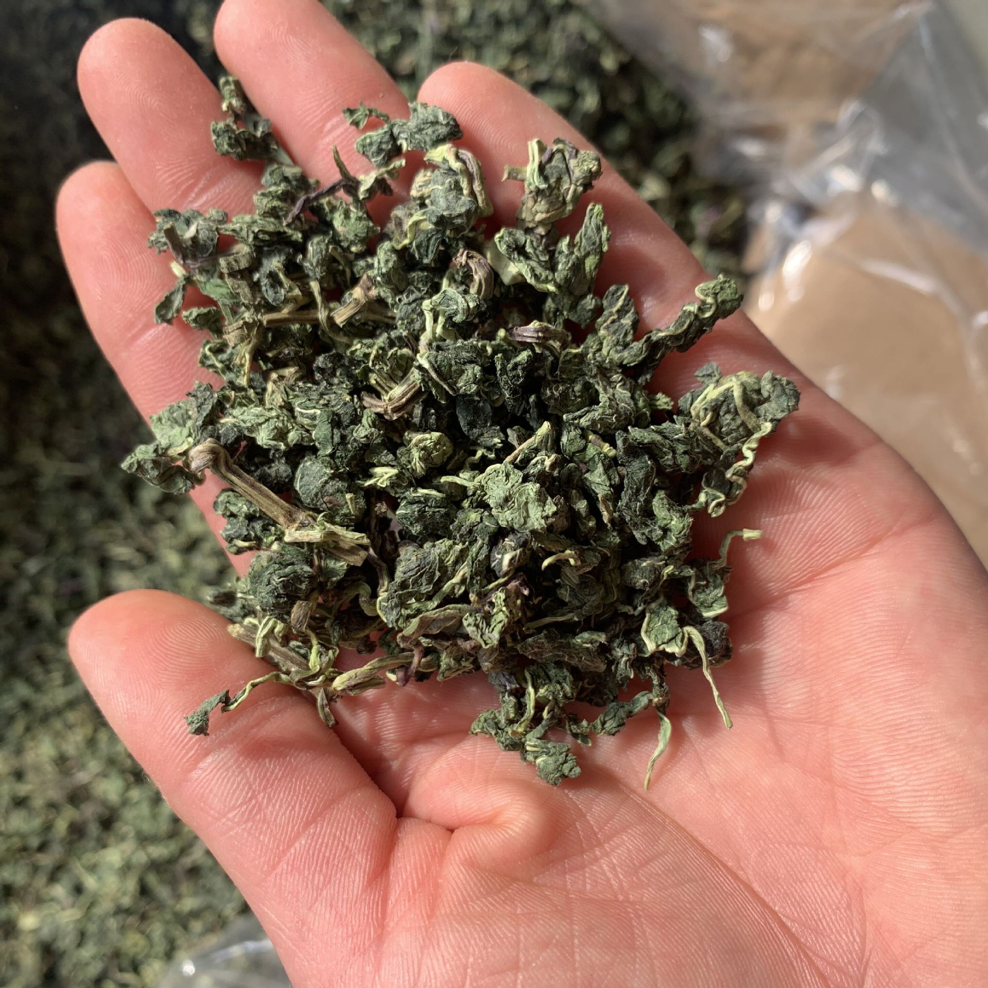 Dried Mint Leaf Tea Bo He Ye Loose Herbal Tea 500g Bulk Cooling Refreshing Brew specifications