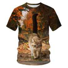 uͨɐ؈ʿT3DaӡSֱN