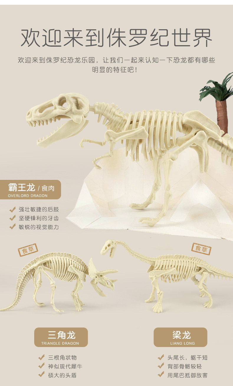 考古恐龙玩具详情上_04.jpg