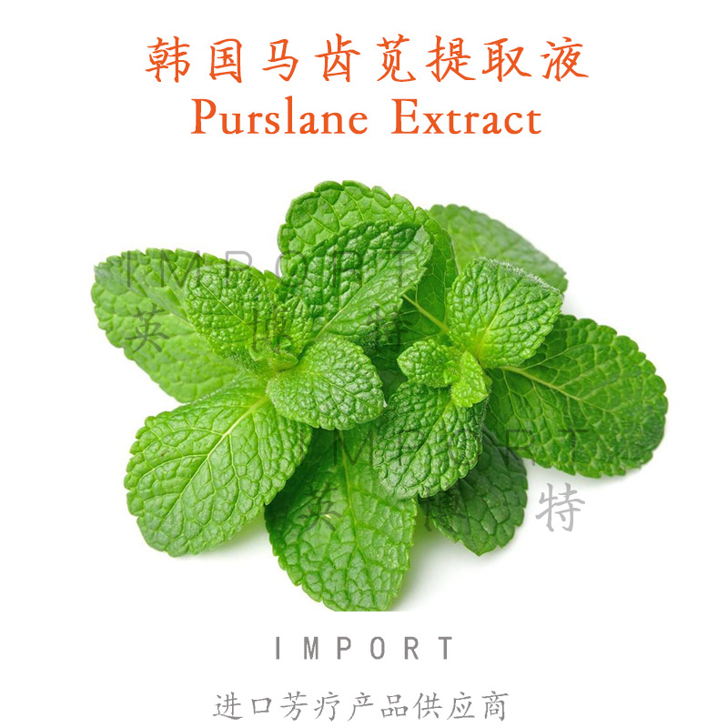 韩国马齿苋提取液  温和不刺激 可用于儿童护品 1KG起订