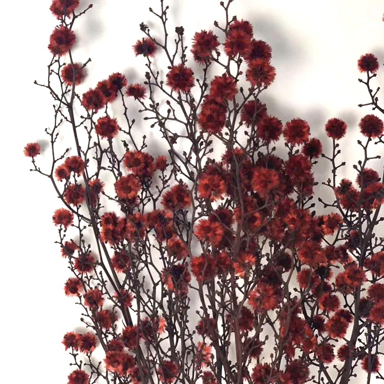 微信图片_20200209024452