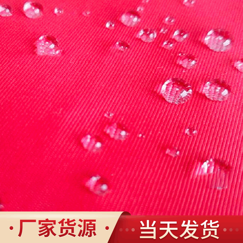 Nylon ski travel ski suit
