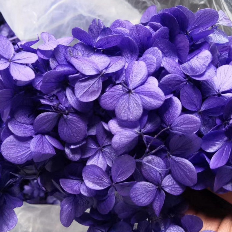 微信图片_20200421181956