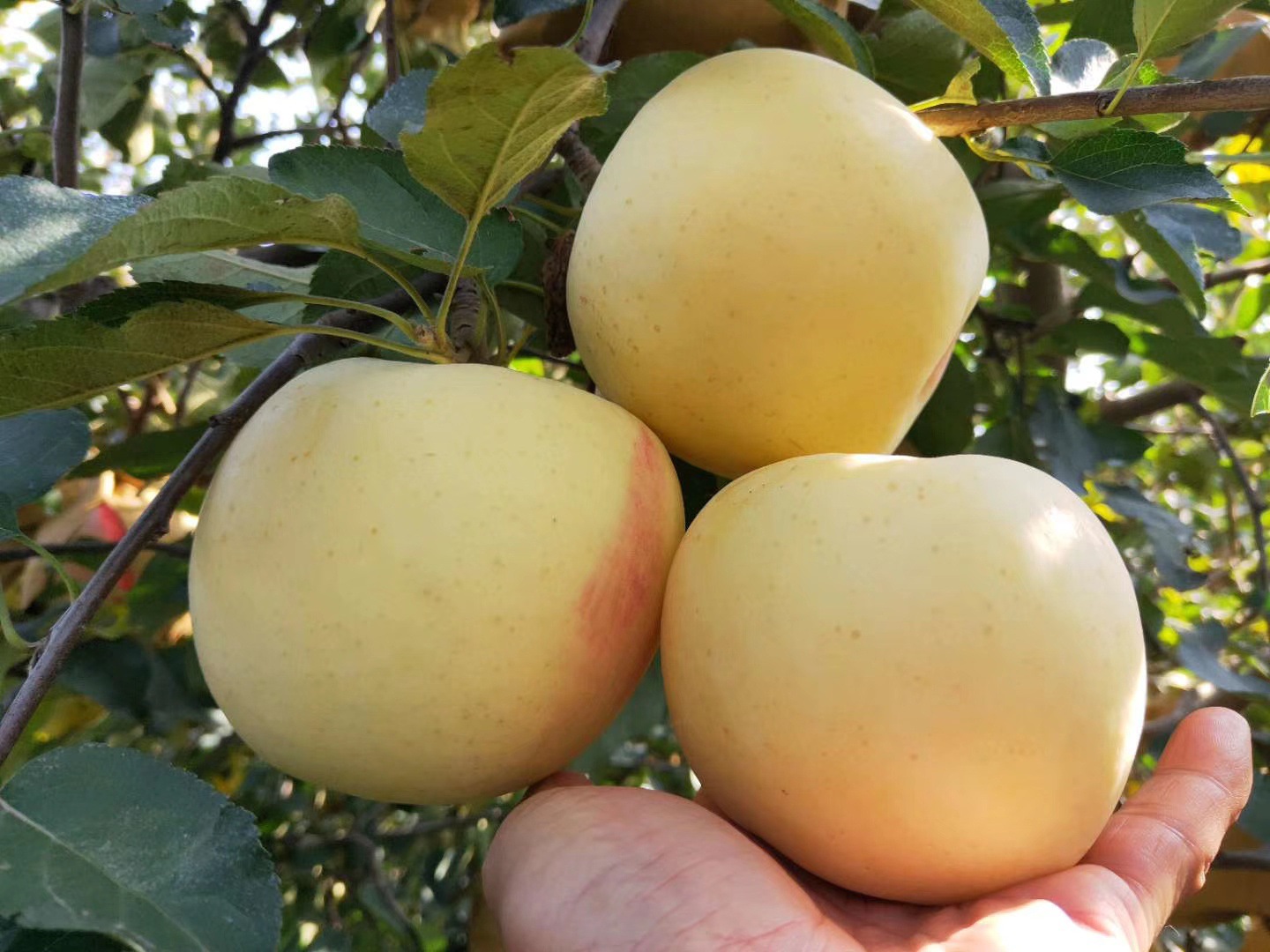 b9c74d19836828beceb06fd64b4ea6